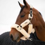 Kentucky Horsewear - Licol Mouton Transport Blanc – Image 2