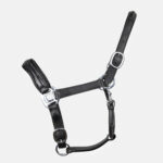 Antares sellier - Licol doublé Cuir Noir