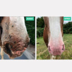 EKIN - Protection Solaire – Image 3