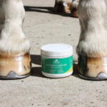 EKIN - Onguent Sabot Sec – Image 3