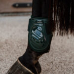 Kentucky Horsewear - Protège Boulets Young Horses Vert Sapin – Image 2