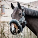 Kentucky Horsewear - Licol Avec Mouton Transport Plaque Or Gris – Image 2