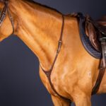 Dy'On - Martingale Yoke New English Collection Marron – Image 2
