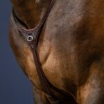 Dy'On - Martingale Yoke New English Collection Marron – Image 3