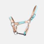 Pravins - Licol En Cuir Haut De Gamme + Longe Aquatic – Image 2