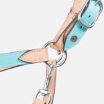 Pravins - Licol En Cuir Haut De Gamme + Longe Aquatic – Image 3