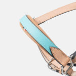 Pravins - Licol En Cuir Haut De Gamme + Longe Aquatic – Image 8