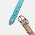 Pravins - Licol En Cuir Haut De Gamme + Longe Aquatic – Image 6