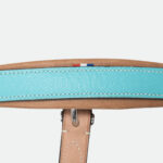 Pravins - Licol En Cuir Haut De Gamme + Longe Aquatic – Image 7