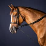 Dy'On - Rênes Allemandes Leather / Nylon Draw Reins 5 8 New English Collection Noir – Image 2