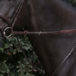 Dy'On - Rênes Caoutchouc 1 / 2 Collection Us Jumping Marron – Image 2