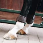 Kentucky Horsewear - Protège Boulets Cuir Marron – Image 2