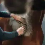 Cura naturale - Argile naturelle – Image 4